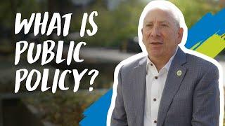 What is public policy?