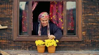 Şefkat Medeniyeti // Pencere Önü Çiçekleri (Bölüm 8)