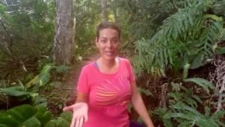 Hiking to Detox- Elena Maganto PhD, Integrative Nutrition Coach