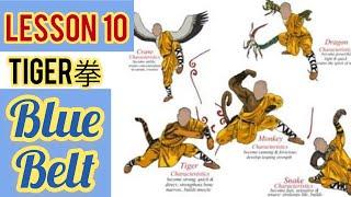 tiger kicks  / learning kung fu at home lesson 10 / snap , hell , stop kicks 虎拳