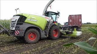 Bart Sprangers mais hakselen 2024 (1) , Claas Jaguar 960