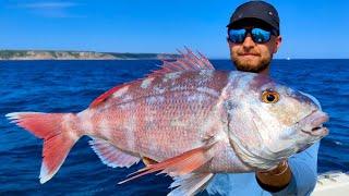 Charter Fishing UK - Fishing with Bite Adventures in Penzance | The Fish Locker