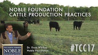 The Noble Foundation As A Cattle Producer | Production Practices