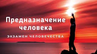 Предназначение человека.