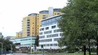 Basingstoke Theme