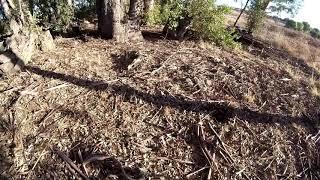 Pre Cleanup for Seeded Hunt  Oct 20-Nov. 8 2019