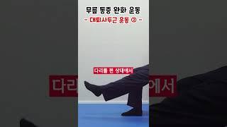 무릎 통증 해결! 대퇴사두근 운동 #shorts