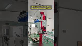 Borunte palletizing robot #borunterobots #Borunte #machinery #intelligence #industrialrobot #robot