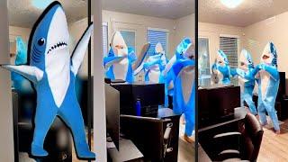 I Caught My Roommate - Then Cameramen Kept Joining  Dancing Shark Compilation