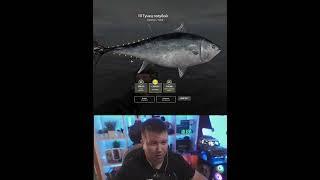 Маленький ТУНЕЦ, а сколько эмойций #driler #рыбалка #рр4 #fishing #рыба #рыба #универсал #sea