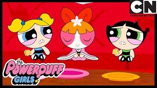 What Is Blossom Dressed As? | Powerpuff Girls | Cartoon Network