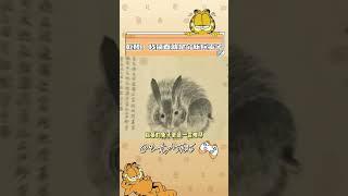 字丑还不自卑，到处写！#乾隆 #宋徽宗 #字体 #抽象 #历史