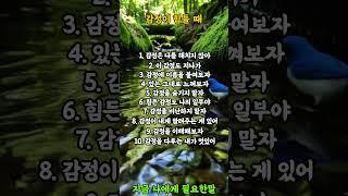 감정이 힘들 때  #명언 #좋은글 #힐링