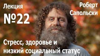 Лекция №22. Роберт Сапольски — «Стресс, здоровье и низкий социальный статус»