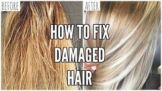 How To Fix EXTREMELY Damaged Hair At Home