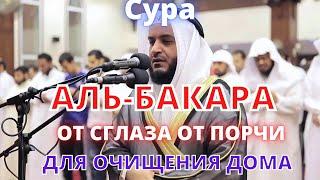 Сура АЛЬ-БАКАРА - (КОРОВА) ОТ СГЛАЗА ОТ ПОРЧИ ДЛЯ ОЧИЩЕНИЯ ДОМА