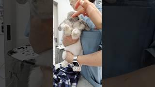 토끼에게 반한 간호사님의 깜짝 행동