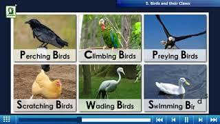 EVERGREEN PUBLICATIONS NEW TRENDS IN SCIENCE 3 - MULTIMEDIA DEMO