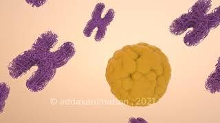 Addax Medical Animations Showreel 2021