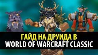 Привкус Ваниллы  Классовый Гайд на Друида в WoW Classic