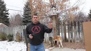 Clay’s Budget Blades Ep. 1: The Yojimbo 2 from Spyderco