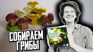 ГРИБНЫЕ МЕСТА  Летсплей втроём! Идём в лес и ищем Сморчки, Белые грибы и Лисички! Секреты грибников