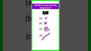 Quiz-15 | Bacterial Identification | #microbiology #bacteria #shorts @basicappliedmicrobiology