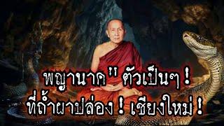 พญานาคตัวเป็นๆ!ปรากฏตัว!ที่ถ้ำผาปล่อง!!นมัสการหลวงปู่สิม พุทธาจาโร จ.เชียงใหม่