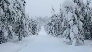 Pyhävaara cross-country skiing track in Ruka, Kuusamo, Finland