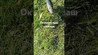 рыбалка Беларусь Гомель