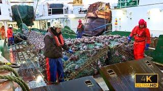 Life On Germany's Most Advanced Deep-Sea Trawler | Inside A Floating Seafood Processing Plant