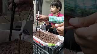 Adorable Baby's First Indoor Gardening Adventure!  Fun DIY Gardening for Kids