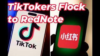 American TikTok Refugees Joining Chinese Social Media App REDnote