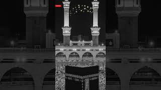 Nabiyo Me Sabse Afzal ﷺ | Heart-Touching Naat That Gives Goosebumps!  #shorts#NaatSharif #Muhammad