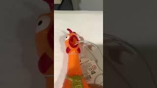 Obnoxious Chicken