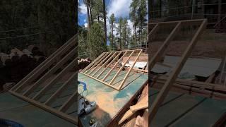 Building a 10x12 shed with $1500 of lumber
