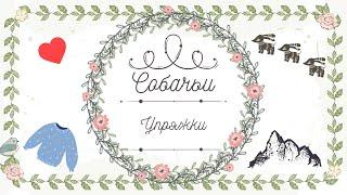 Собачьи упряжки