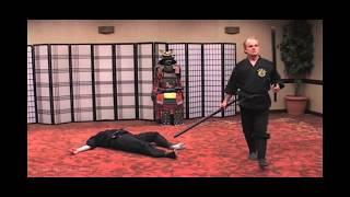 Muto Dori with Knives or Swords - Taikai Mastery Lessons: Sword Evasion with Taisabaki, Taijutsu