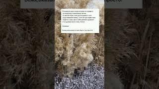 всем добра #жизненныеистории #короткиеистории #реальныеистории #любовь