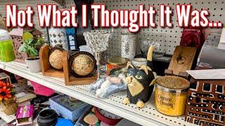 It's Not What I Thought it was! | Goodwill Thrifting & A Styled Thrift Haul 2025