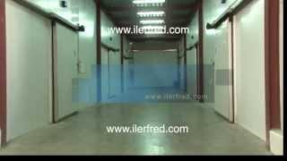 ILERFRED - FRIO INDUSTRIAL - FRED INDUSTRIAL - SECTOR FRUTA Y HORTALIZAS