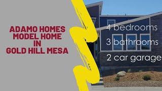 Adamo Homes Model Home in Gold Hill Mesa - new construction