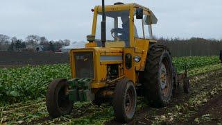 BUKH JUPITER AND JUNO IN THE FIELD - Danish Tractor Brand