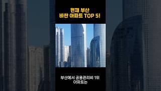 "2025년 부산 최고가 아파트 TOP 5! 1위는 얼마일까?️" #부산아파트 #해운대아파트