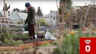 Master in Plant Health Management (teaser)