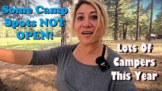 More Cheap & Free Camping Williams- Dogtown Lake | Northern Arizona