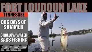 Using the Simplest Rig in Bass Fishing to Target Shallow Water Summer Largemouth