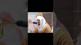 Surah Muminoon 84-87 by Sheikh Yasser Al Dossari | Qul limanil arzu | Best recitation ever!