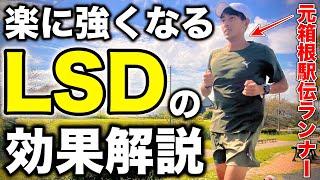 楽に強くなるLSDの重要性と効果を元箱根駅伝ランナーが細かく解説！マラソン3時間半切りを目指す撮影者と初の120分ランニング？#running #lsd #マラソン