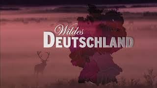 Дикая Германия / Дикая природа Германии / Wildes Deutschland / Серия 1 Заповедник Рён